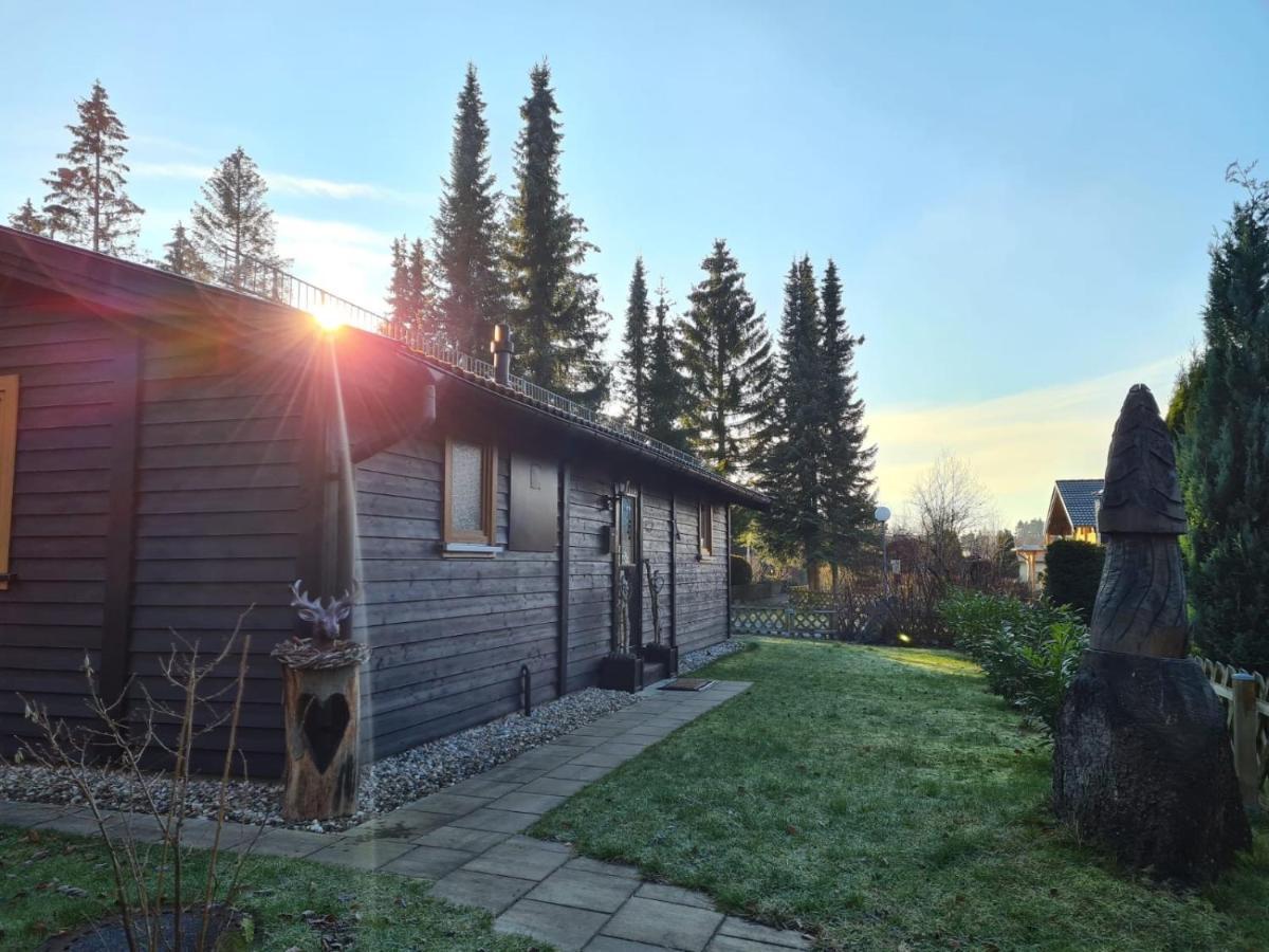 Huettenflair Am See Mit Kamin Clausthal-Zellerfeld Eksteriør bilde