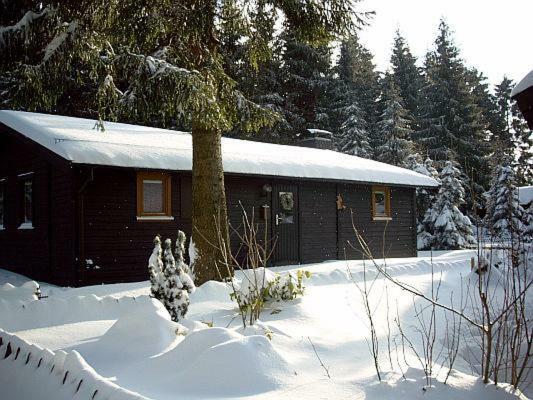 Huettenflair Am See Mit Kamin Clausthal-Zellerfeld Eksteriør bilde